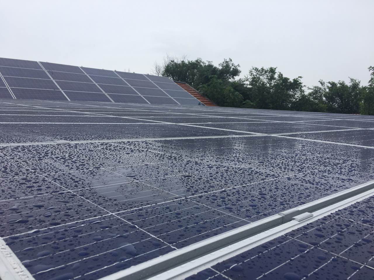 青島膠州后蘆村扶貧項(xiàng)目完工